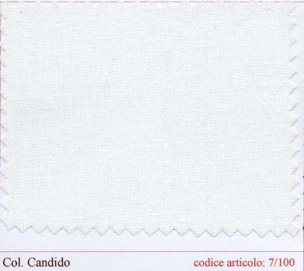 07/0100 Tela/150 art. MODELLI candido - immagine 2